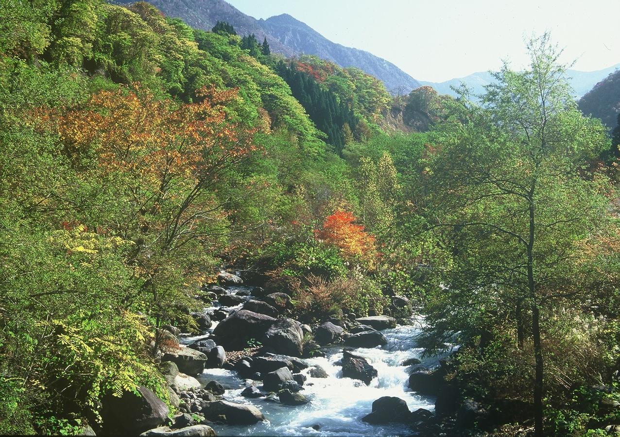 Katsuragi No Sato Hotell Takayama  Exteriör bild
